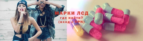 ECSTASY Белокуриха