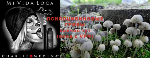 гашишное масло Богородицк