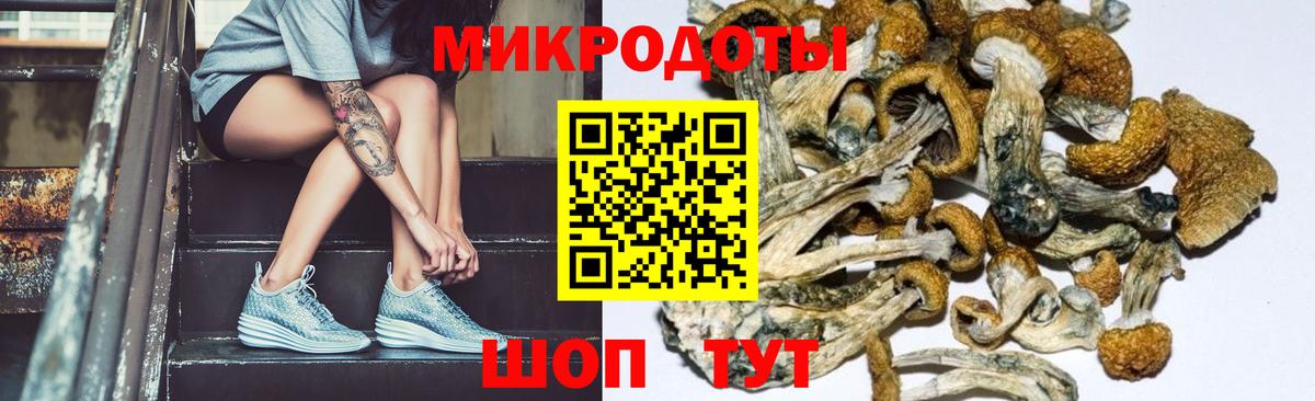 Галлюциногенные грибы GOLDEN TEACHER  Вход с VPN  Обь 